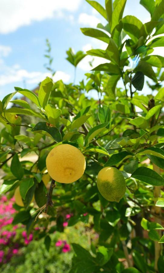 Podere Chiocciola 波吉邦西 外观 照片